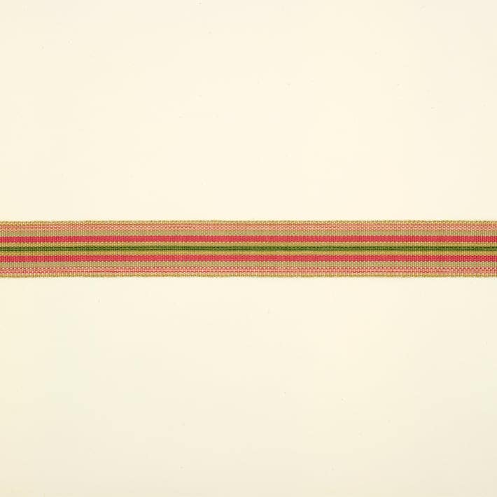 Wide Braid - Watermelon