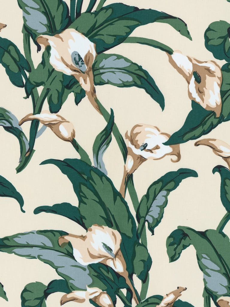 Calla Lilies - Creme