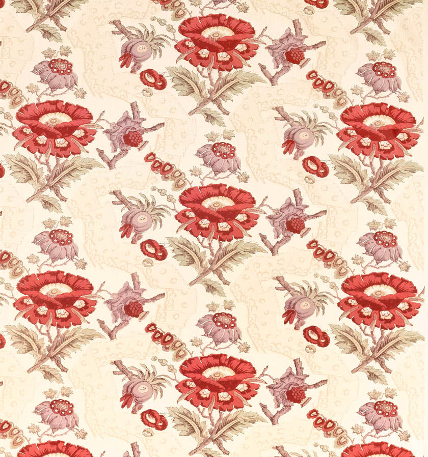 Opium Poppy Bright