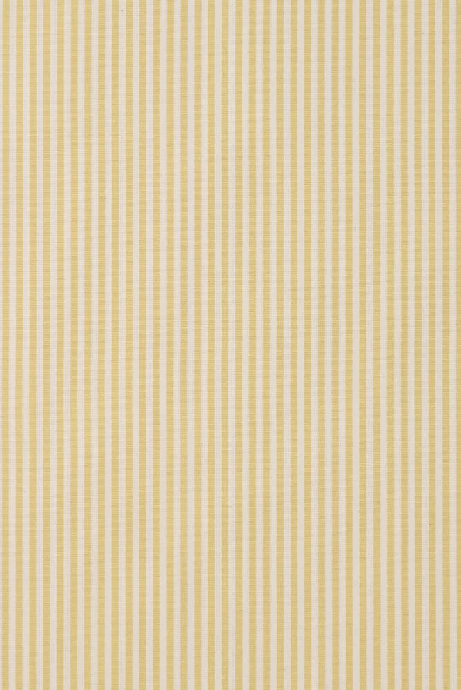 Candy Stripe - Lime