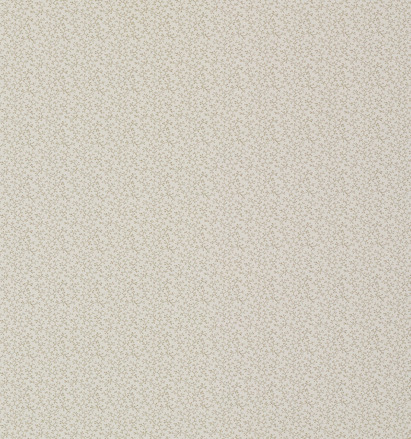 Birch Lining