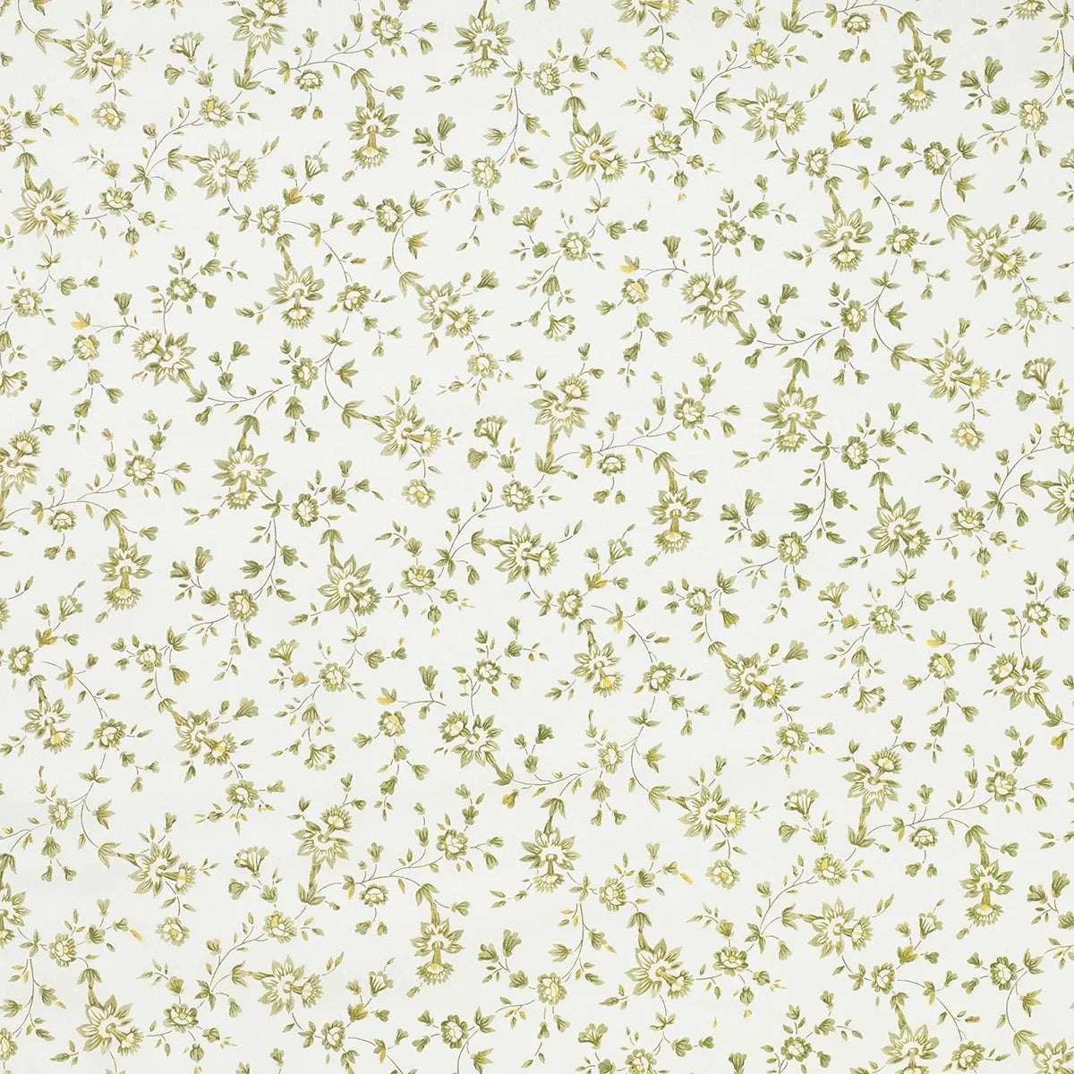 Romilly - Parsley