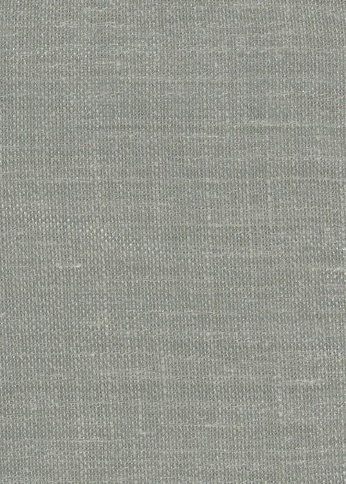 Simplicity - Cornflower