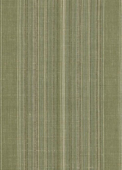 Eastbourne Stripe - Celery