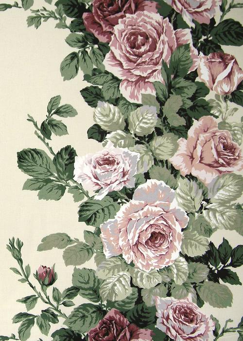 Cabbage Rose - Pink / Creme