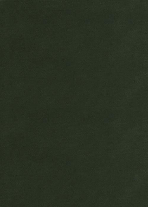 Pemberley Velvet - Green