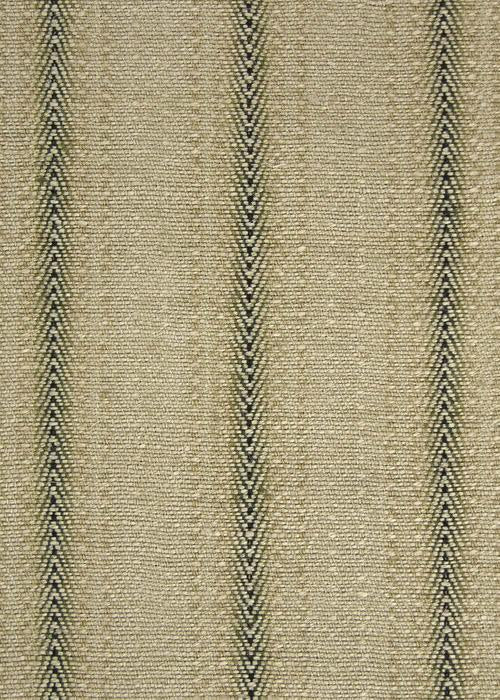 Gunny Stripe - Celeriac