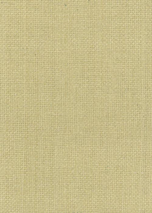Shibui - Primrose