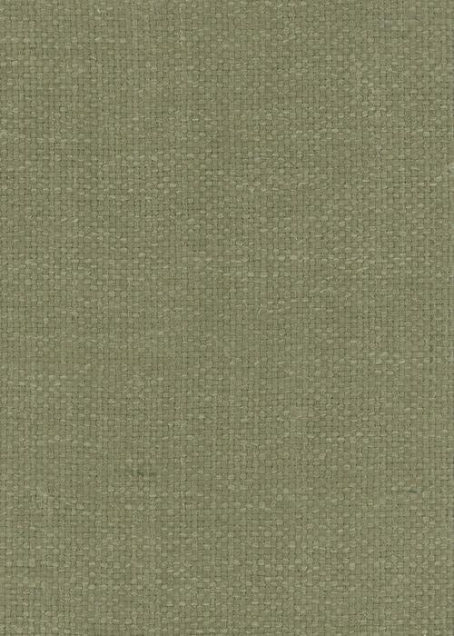 Shibui - Celery