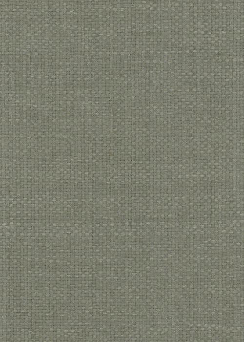 Shibui - Cornflower