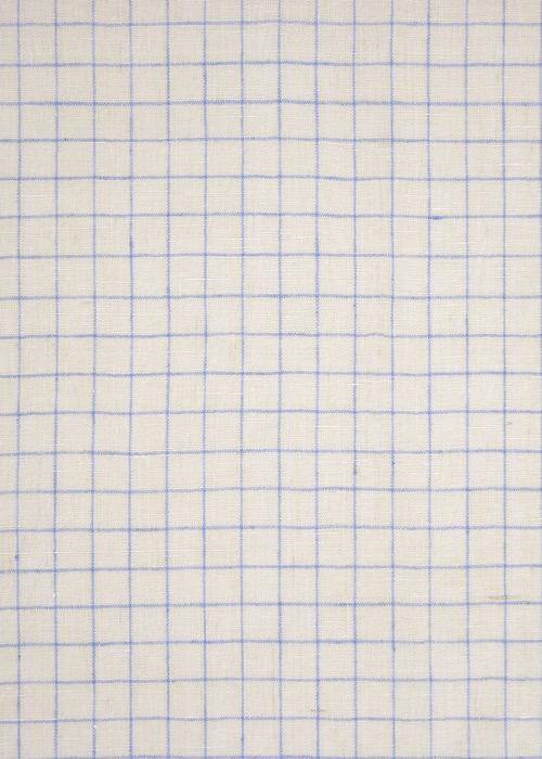 Windowpane Check - Blue