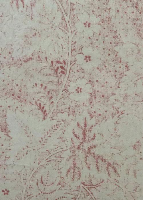 Viburnum - Red