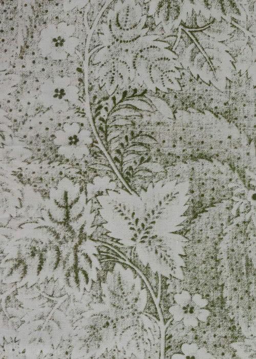 Viburnum - Green