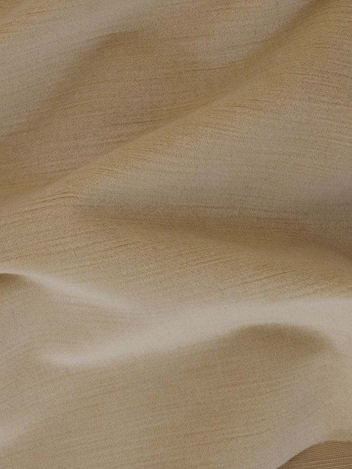 Haze 316 - 01 Oyster