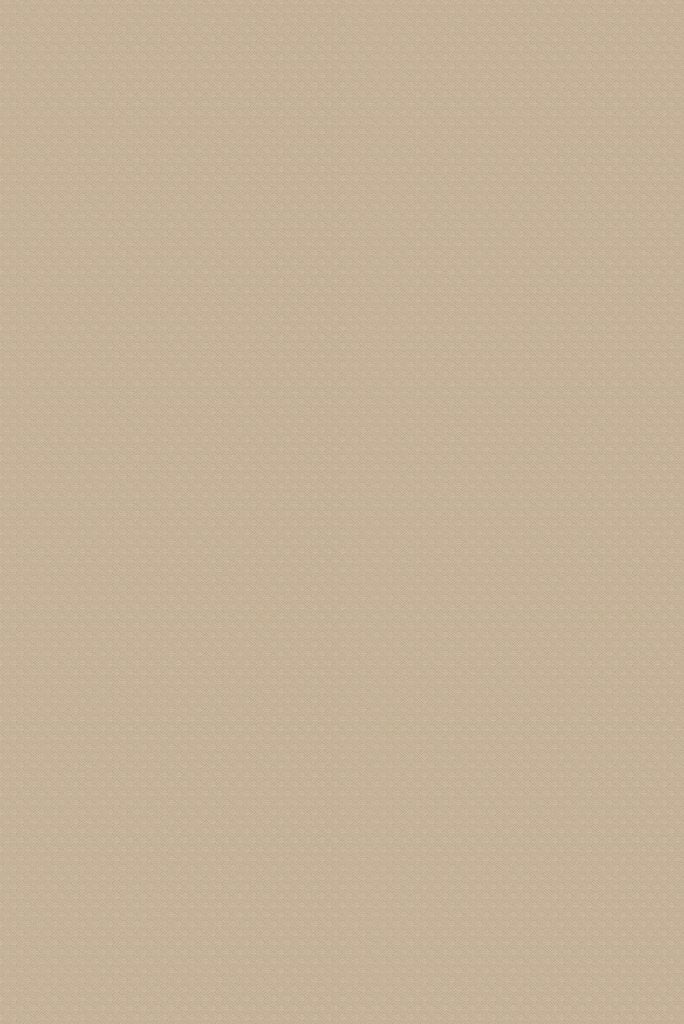 Chevron - Taupe