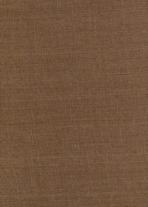 Penzance - Nutmeg