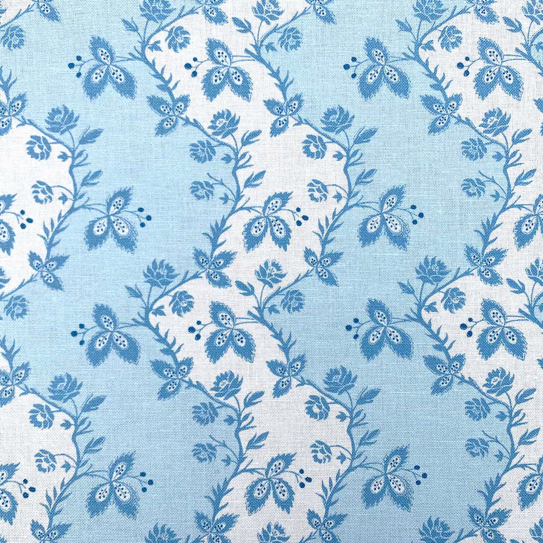 Grimpante Mini - Blues on Oyster Union
