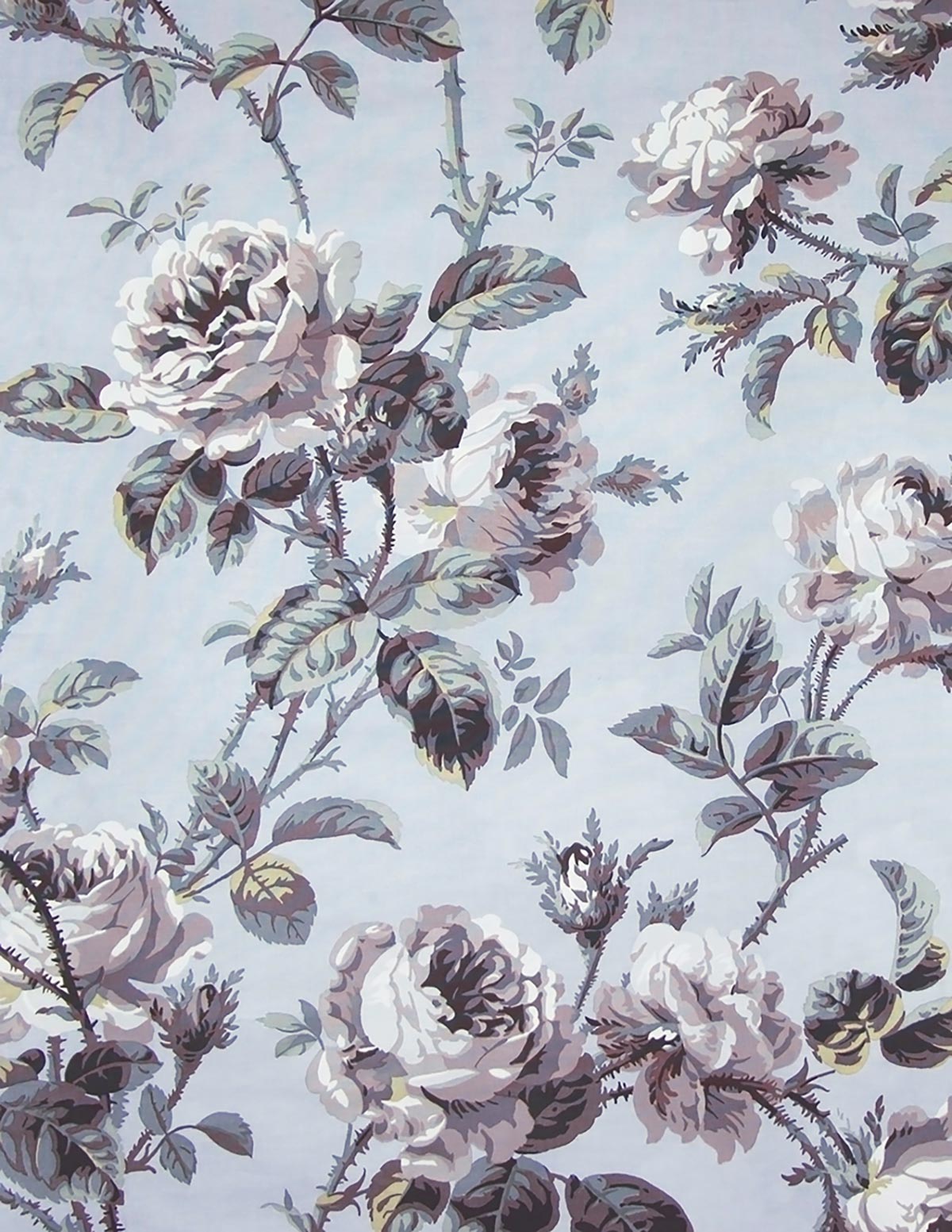 Versailles Rose - Soft Blue