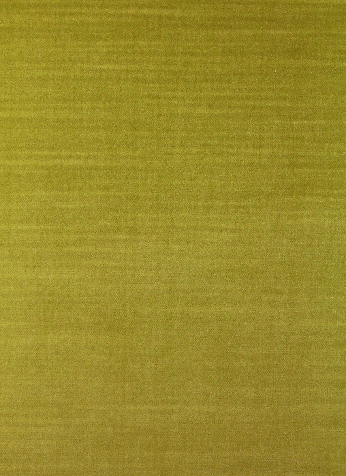 Pemberley Velvet - Lime