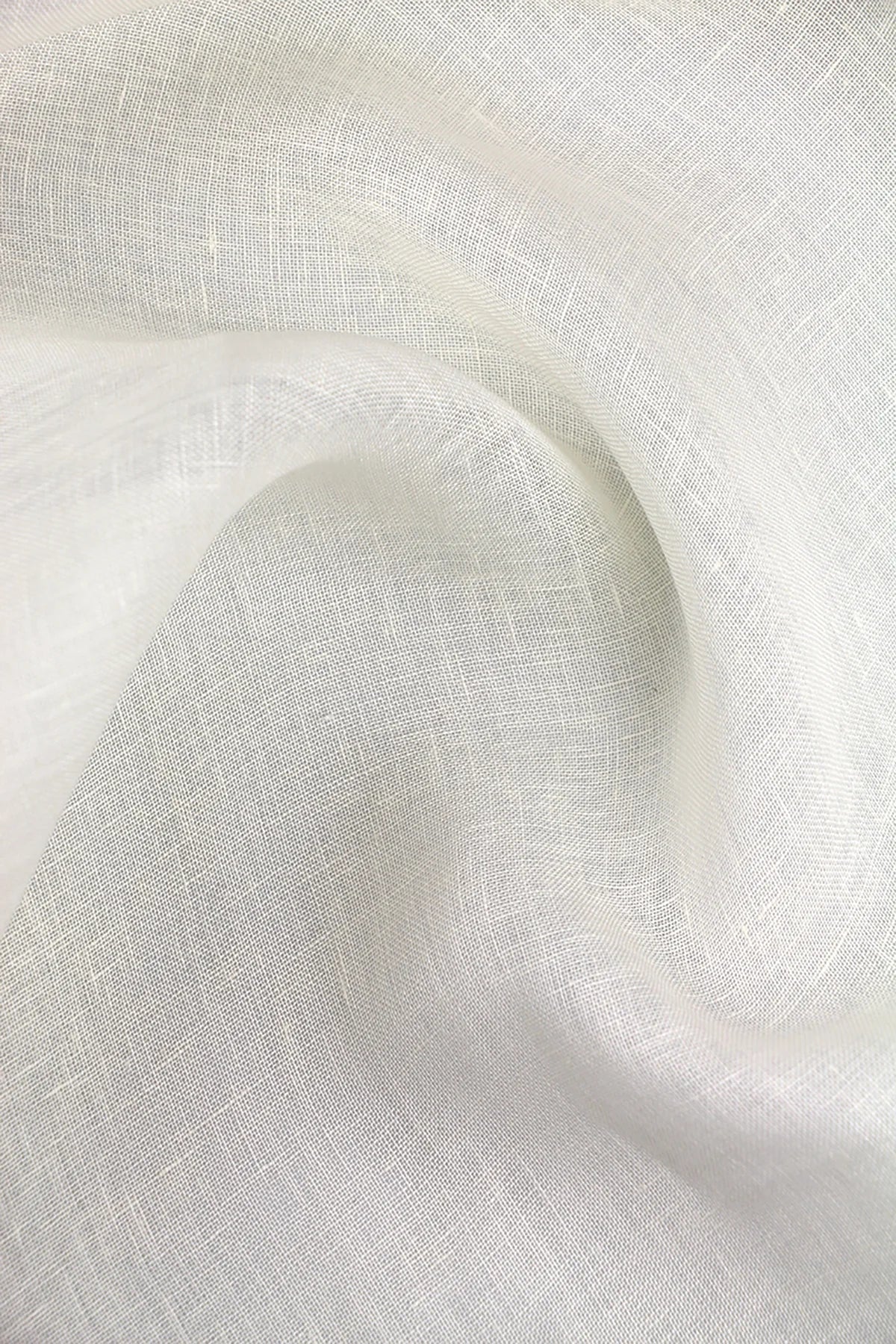 Shalimar Plain - Oyster