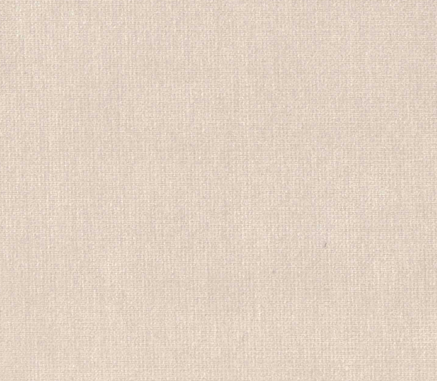 Safari - Ivory