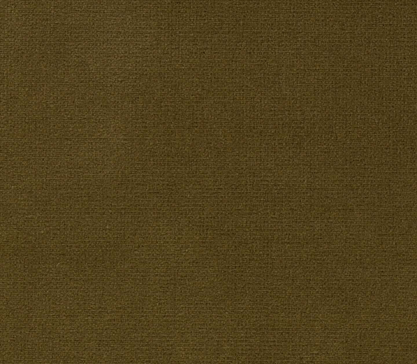 Safari - Moss