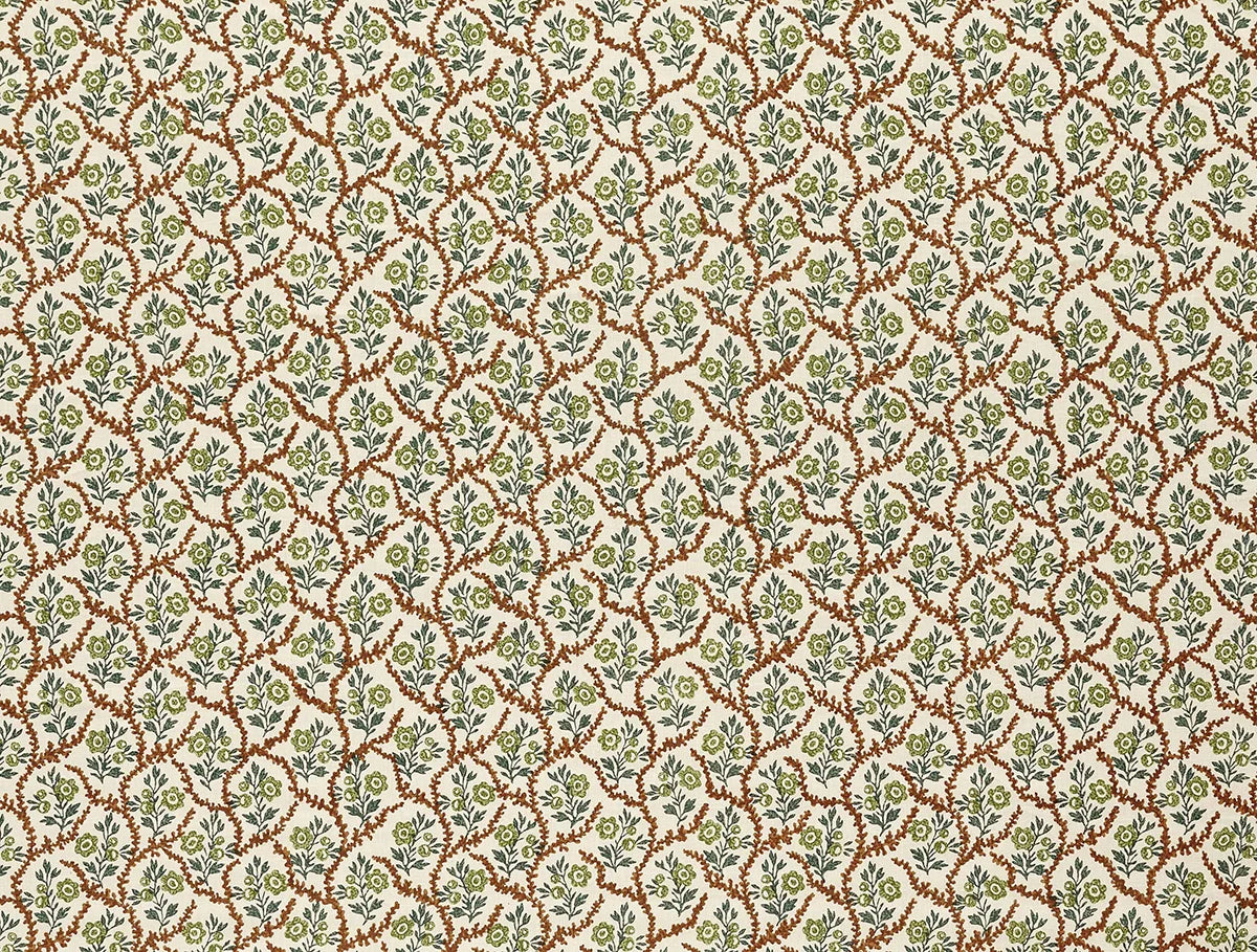 Alga - Chestnut
