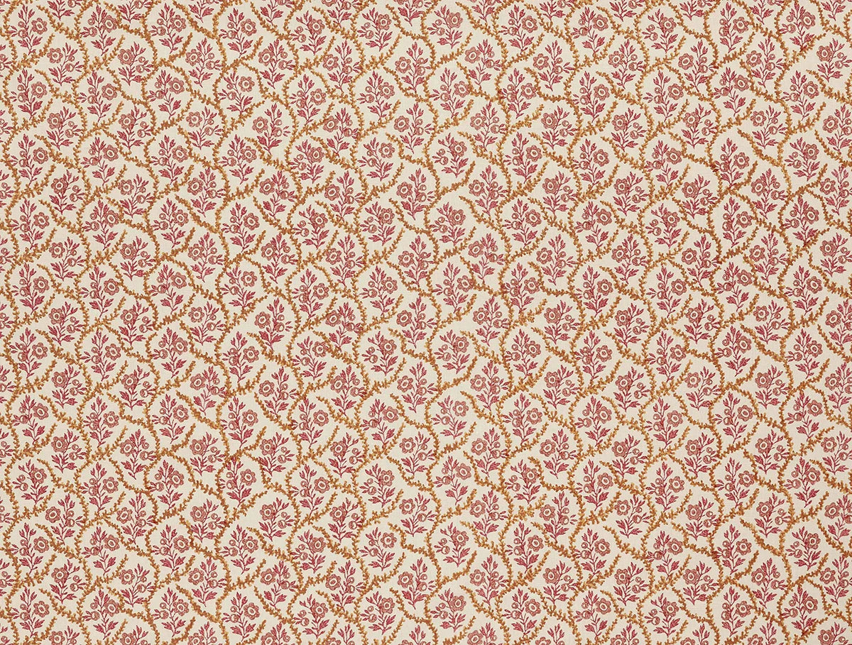 Alga - Tangerine