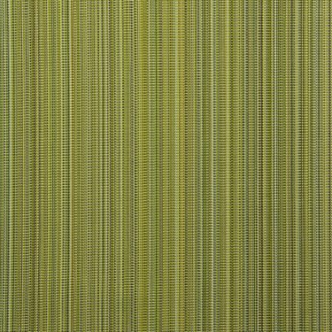 Arlo 377 - 10 Granny Smith