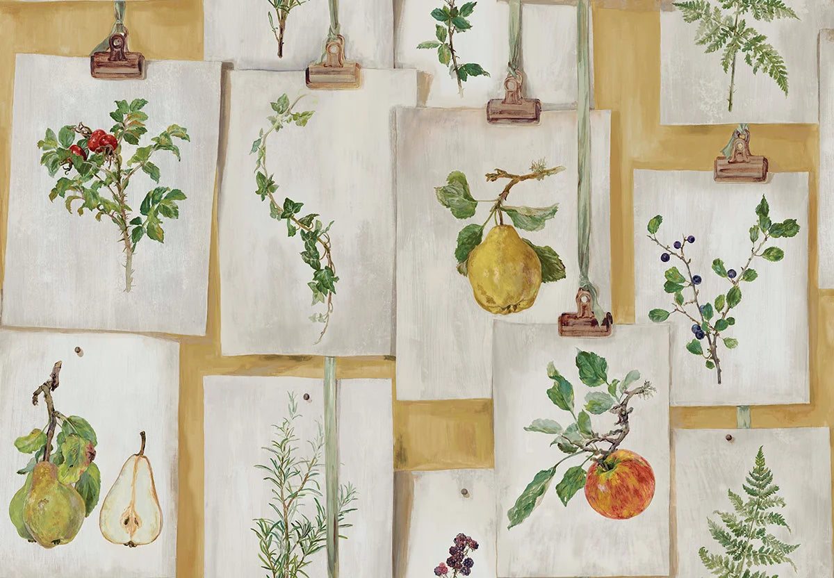 Botanical Studies - Ochre