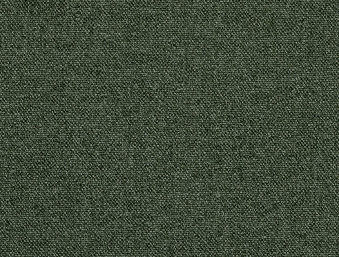 Buray Shardang - Conifer