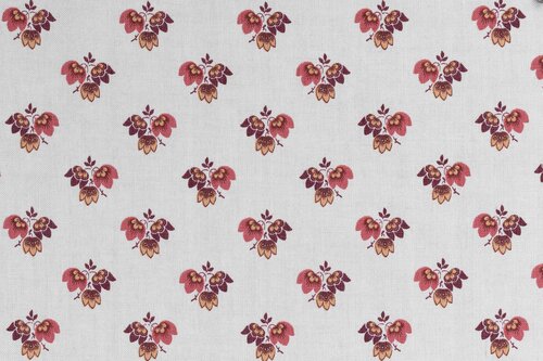 Beatrice - Carnation