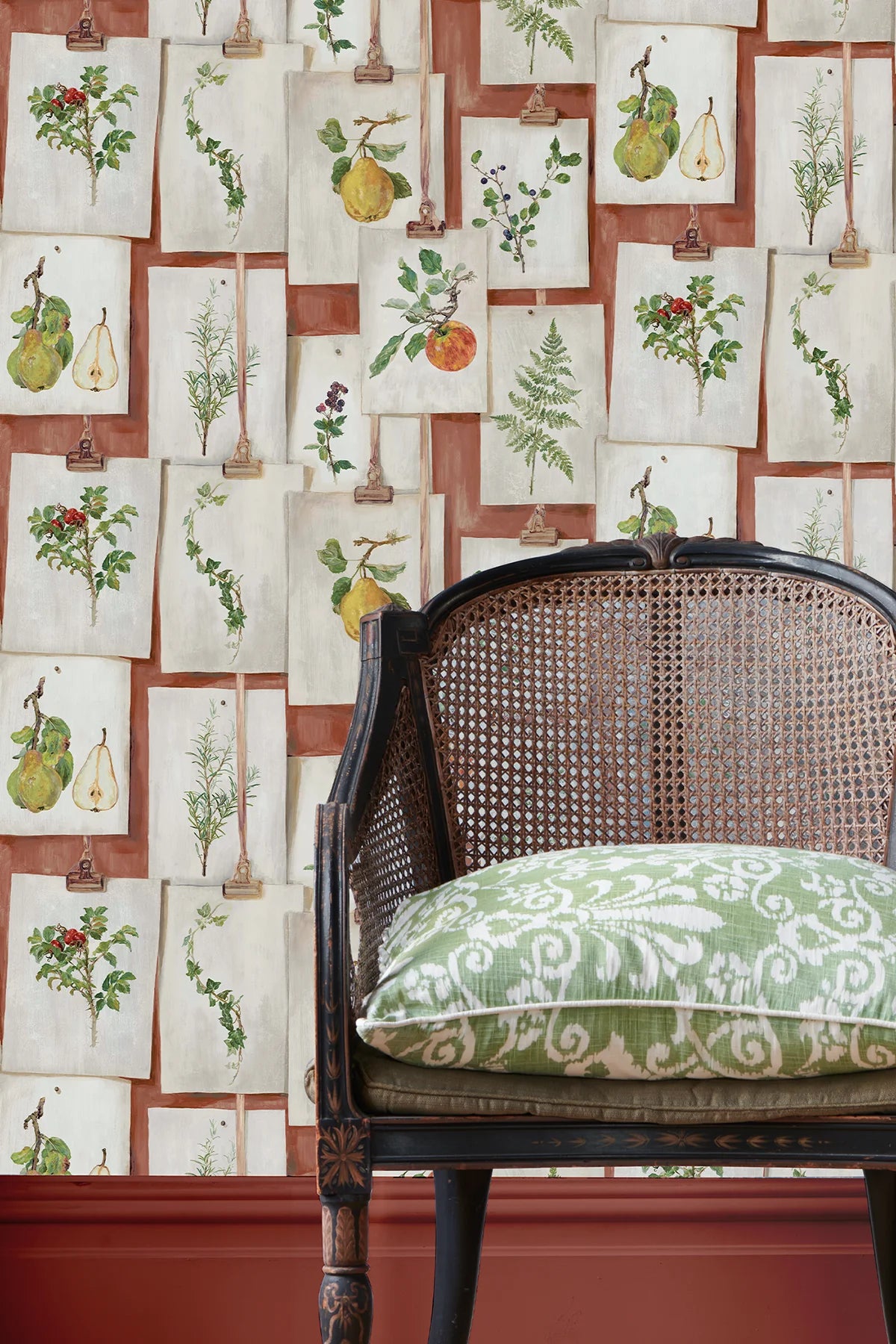 Botanical Studies - Terracotta