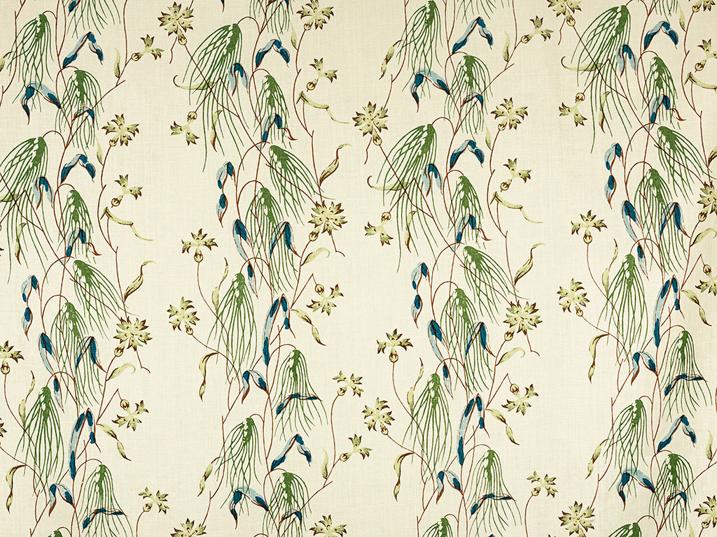 Chinsura - Snow Pea