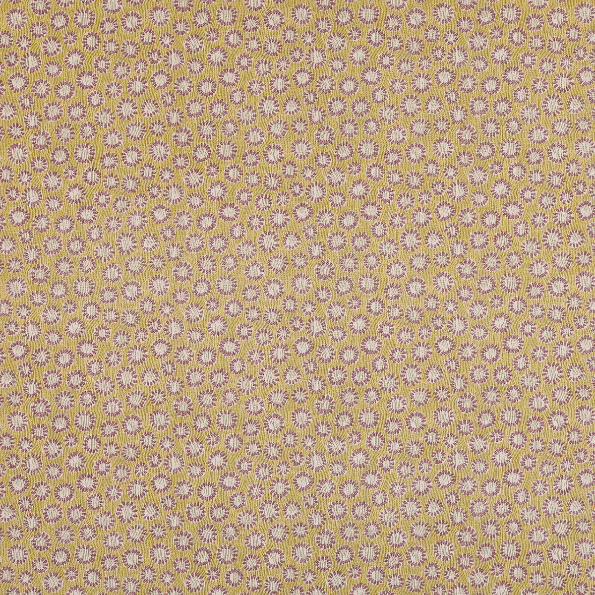 Coral - 006