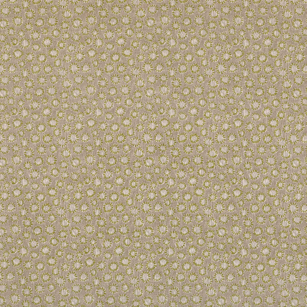 Coral - 007