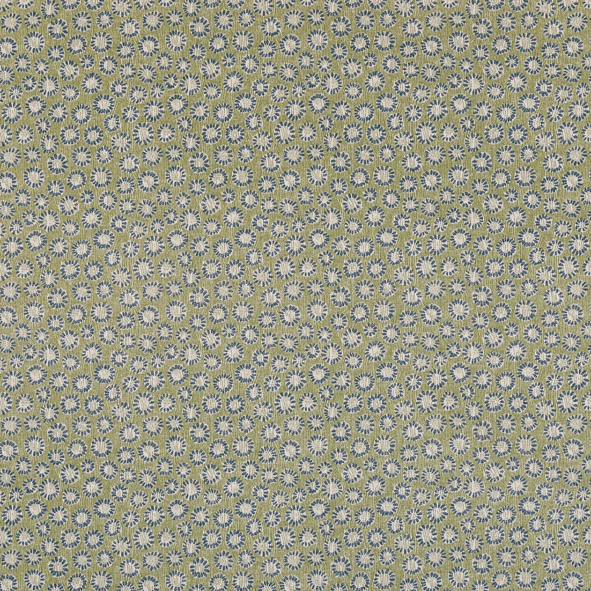 Coral - 008