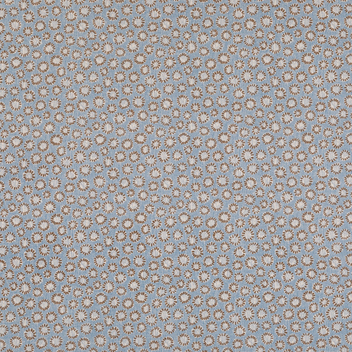 Coral - 015