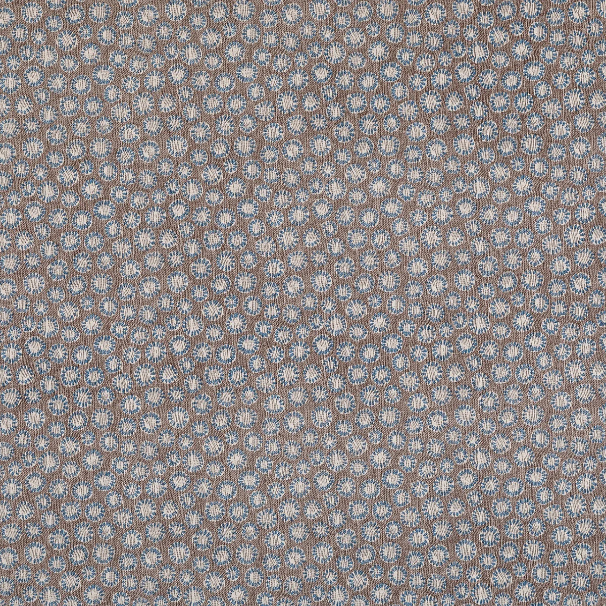 Coral - 016
