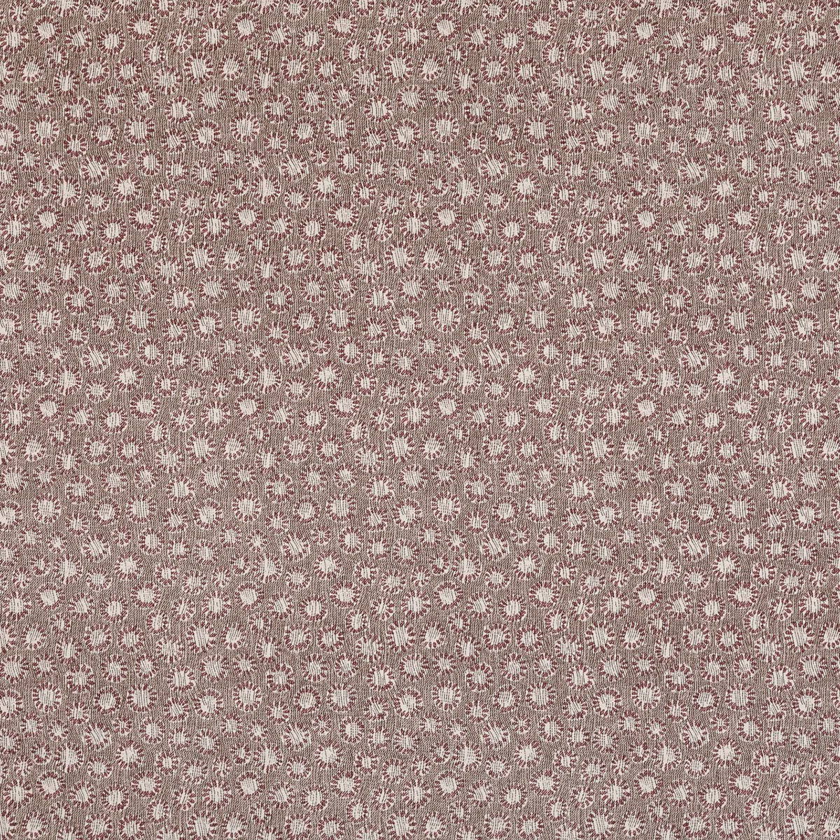 Coral - 017