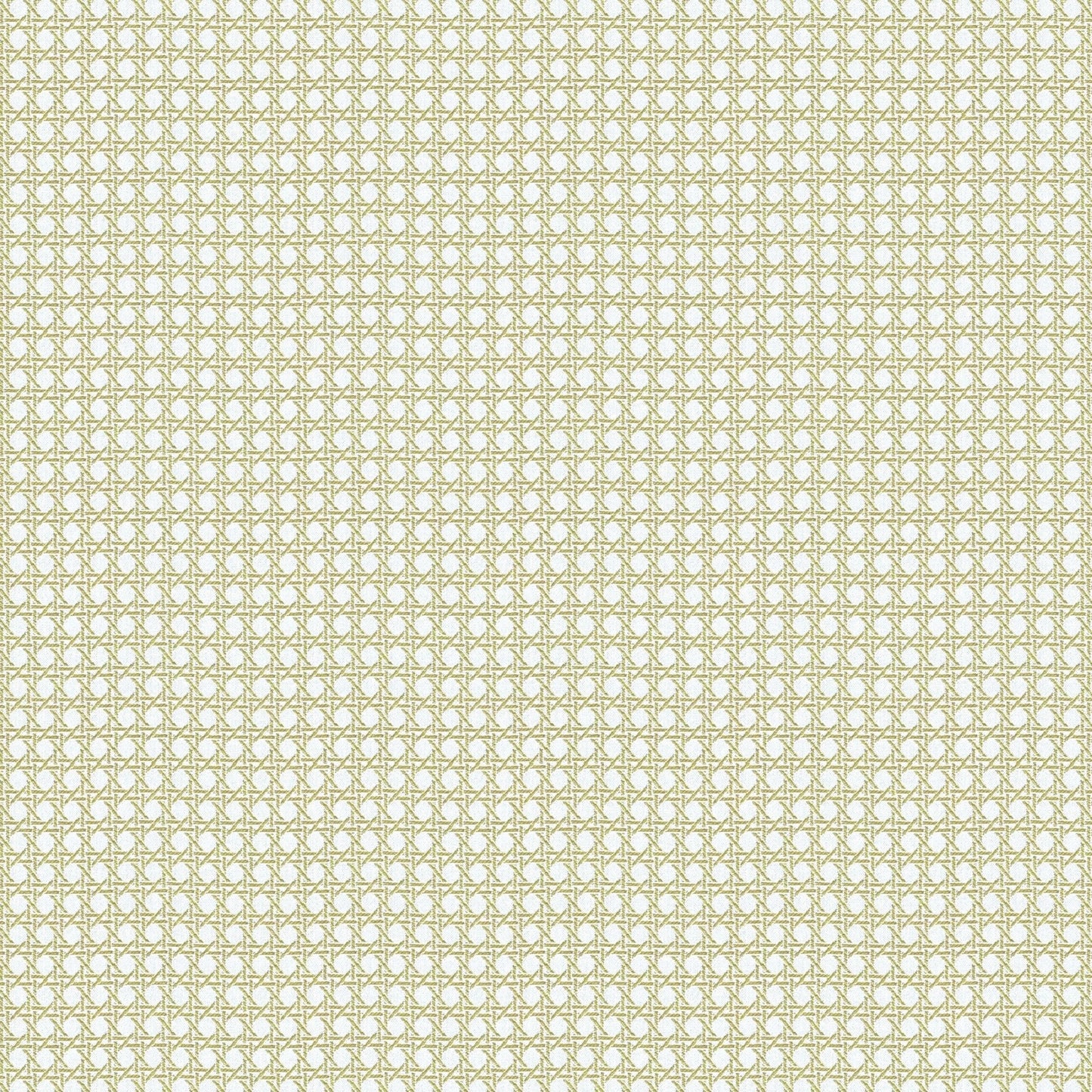 Cafe Society - 05 Limone