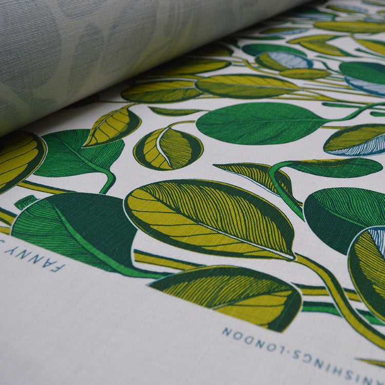 Calathea LIMITED STOCK - Chartreuse