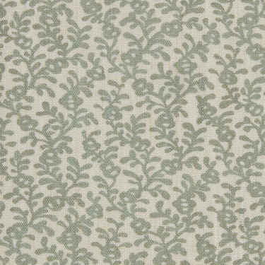Coral Reef - Meadow