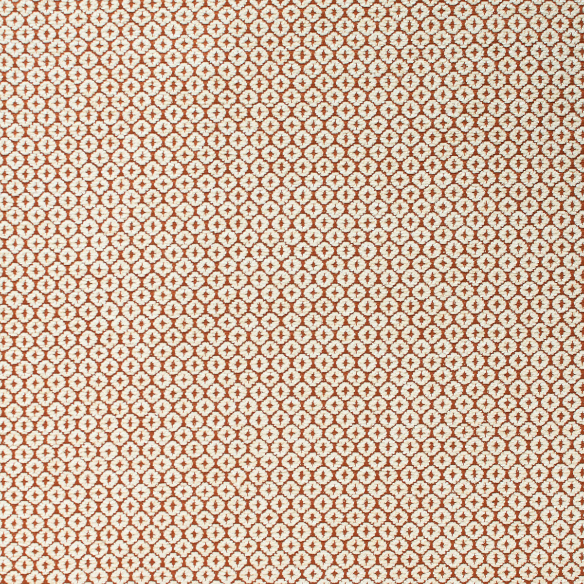 Corfu - Coral