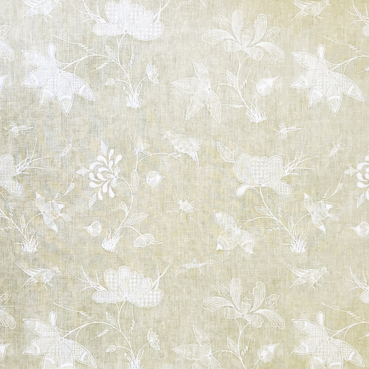 Criquet - Celadon