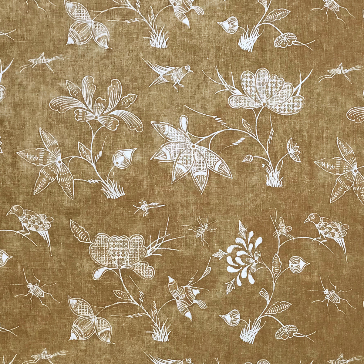 Criquet - Umber