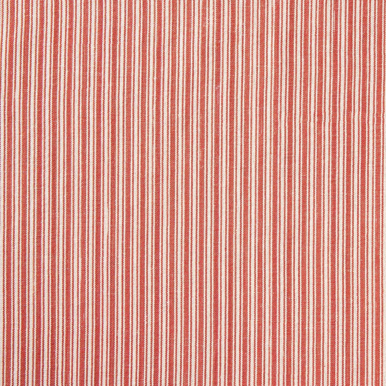 Ticking Stripe - Red