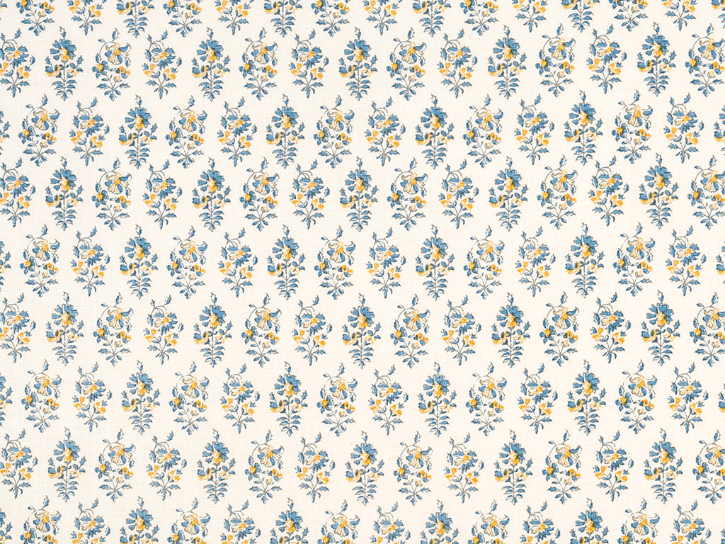 Gisi - Cornflower