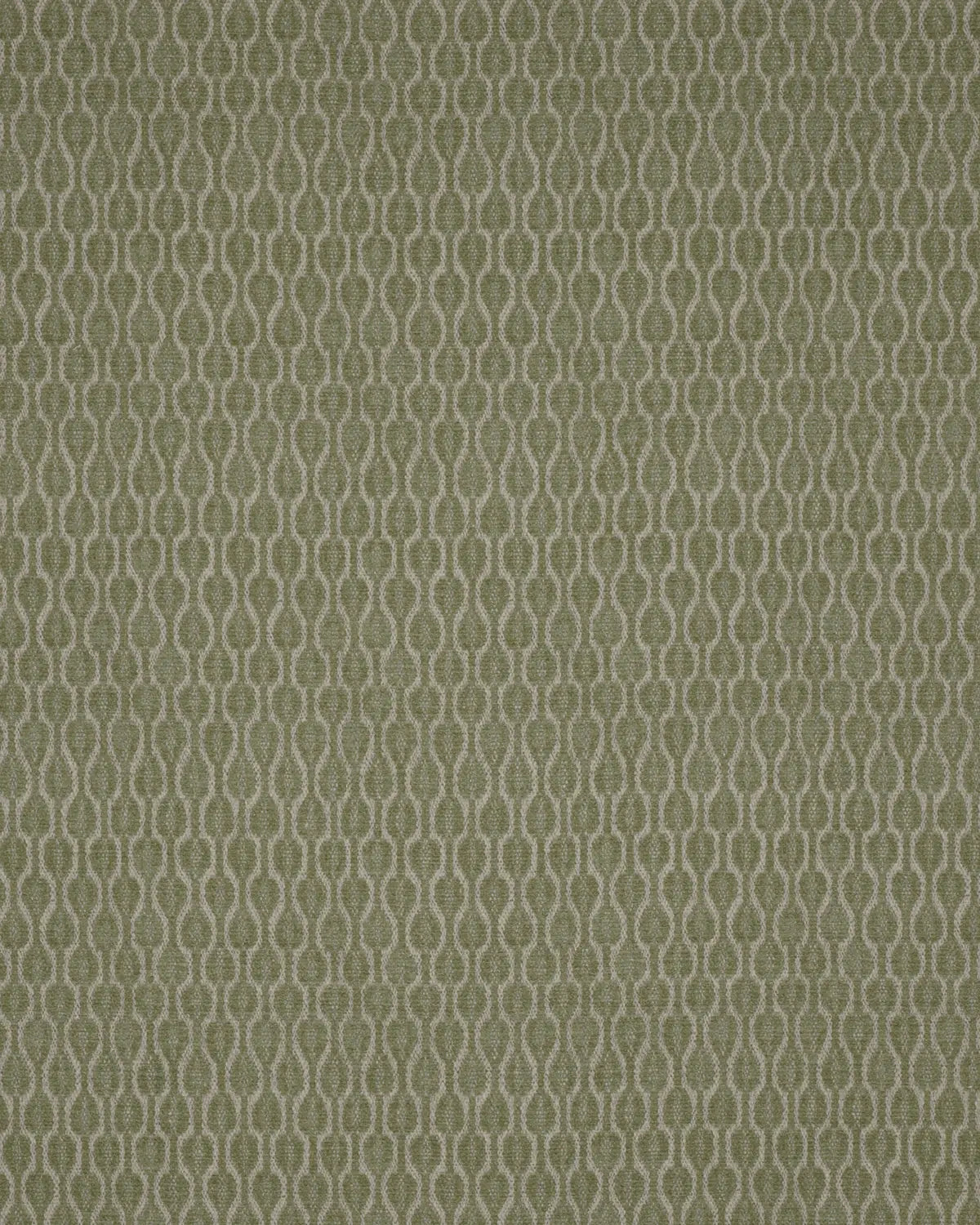 Acacia - Green Tea