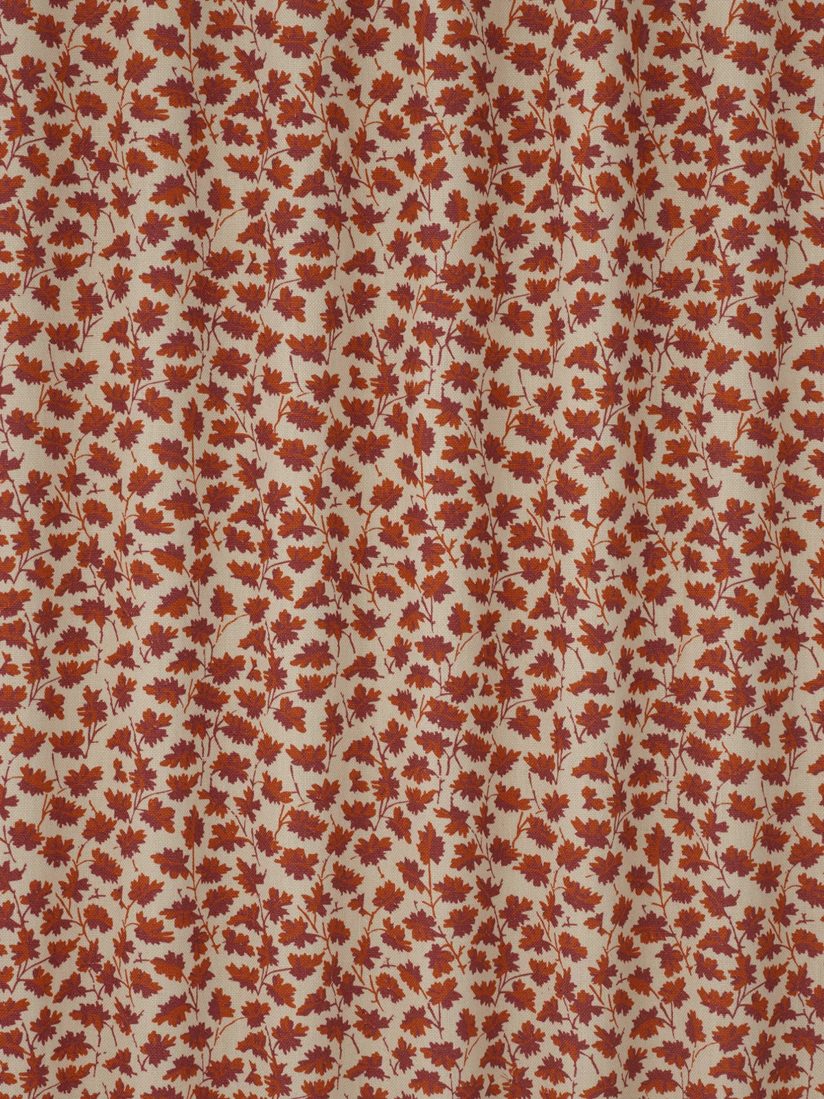 Hawthorn - Rust Rose